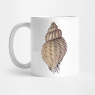 Waved Whelk Mug